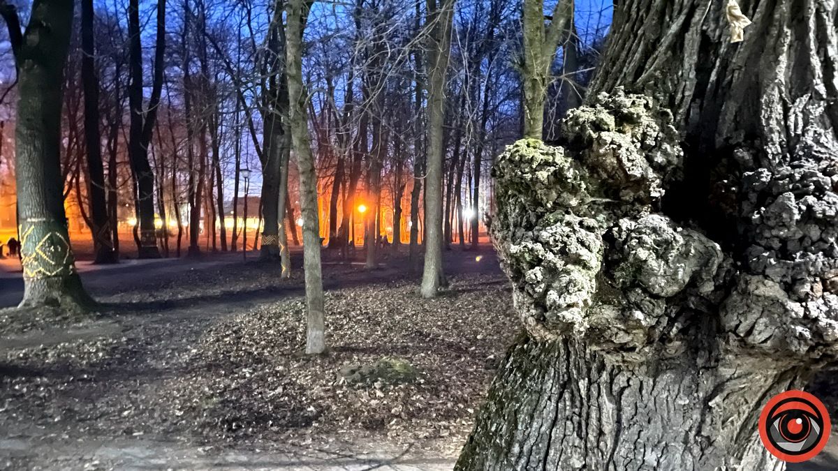 Нічний парк Коломиї у переддень весни | Фоторепортаж 11