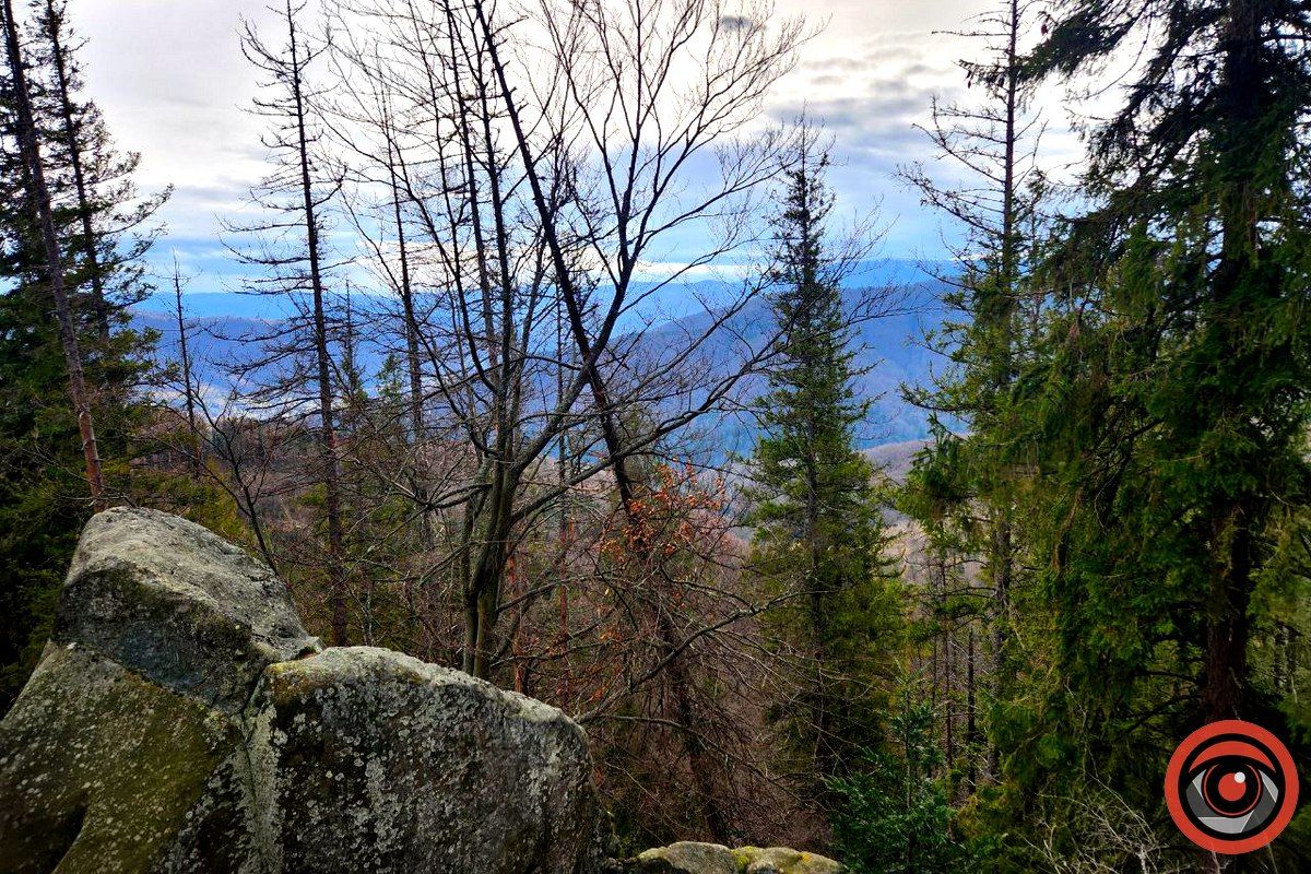 Дорогою до голови білого велетня: які краєвиди зустрічаються на шляху до скелі біля села Дора 4