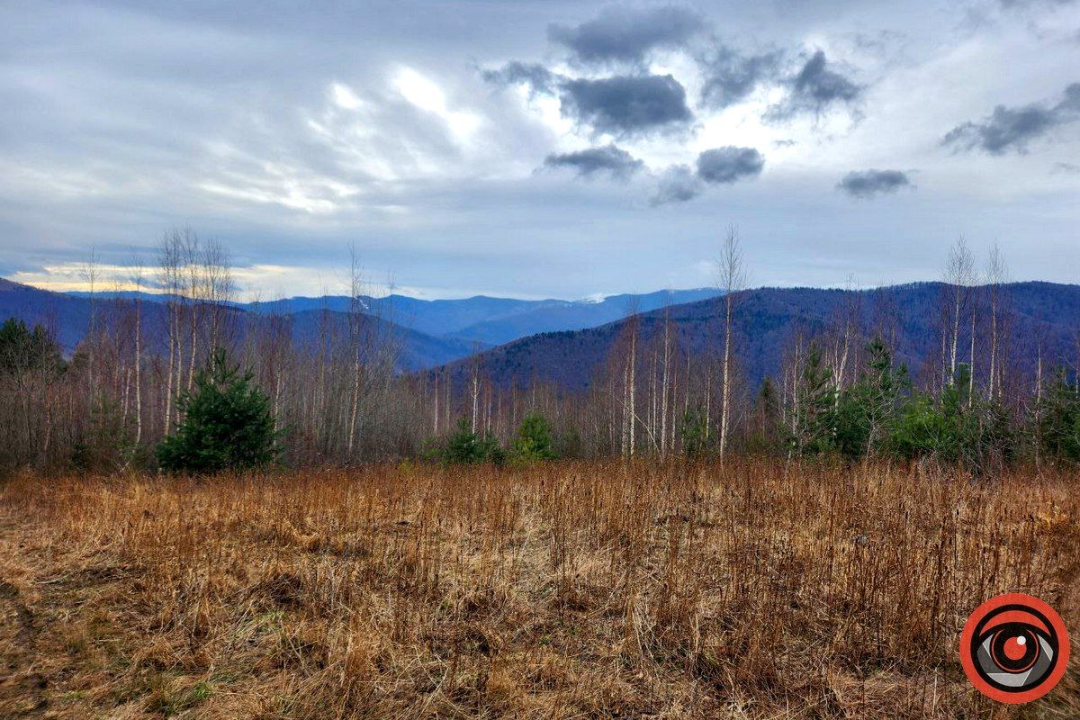 Дорогою до голови білого велетня: які краєвиди зустрічаються на шляху до скелі біля села Дора 2