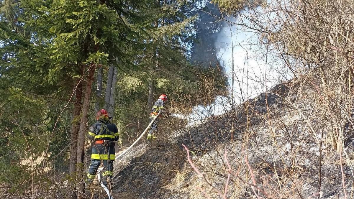 В Яблунівській громаді гасили чергову масштабну пожежу сухої трави 1