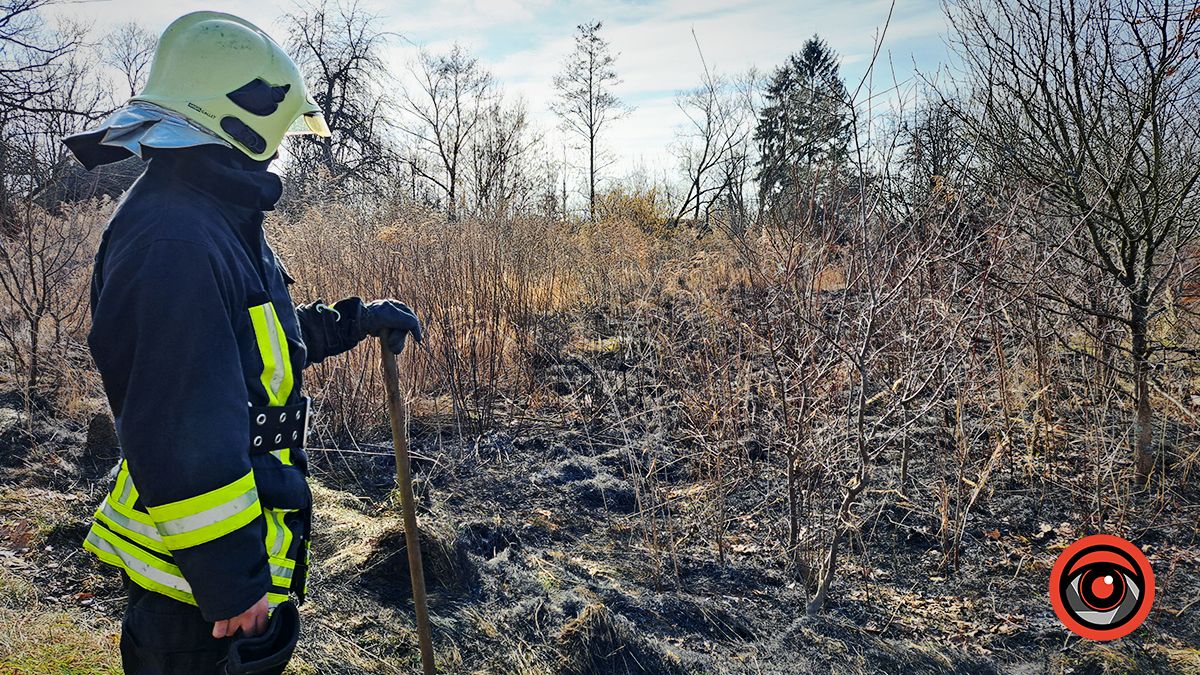На вулиці Довбуша у Коломиї палала суха трава 2