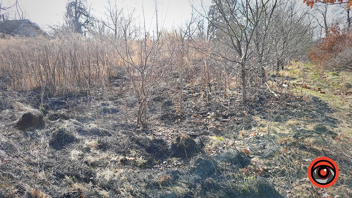 На вулиці Довбуша у Коломиї палала суха трава 1