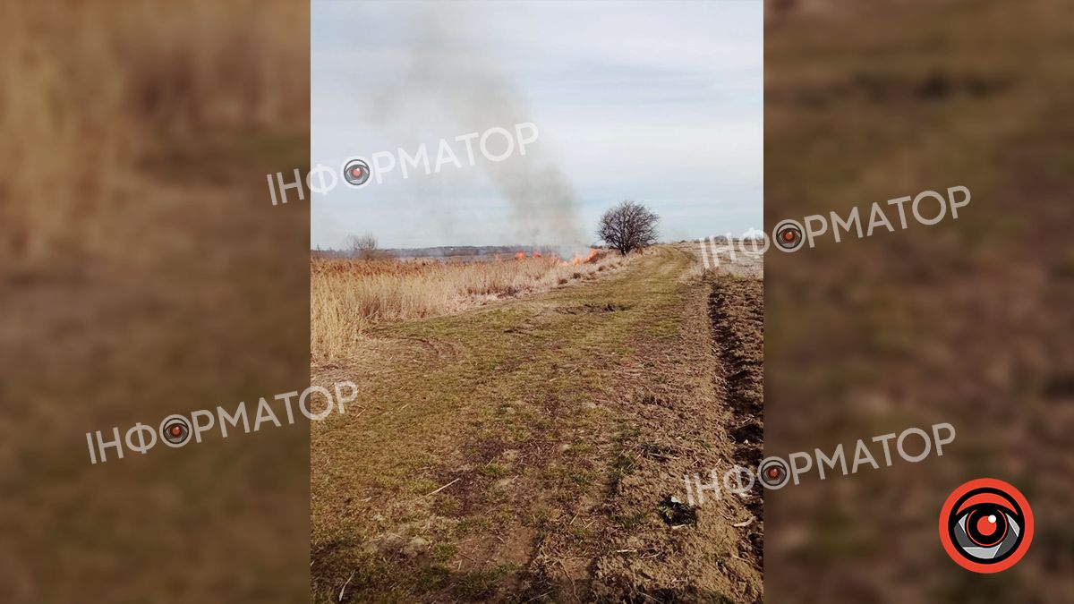На Коломийщині знову загорілася суха трава 2