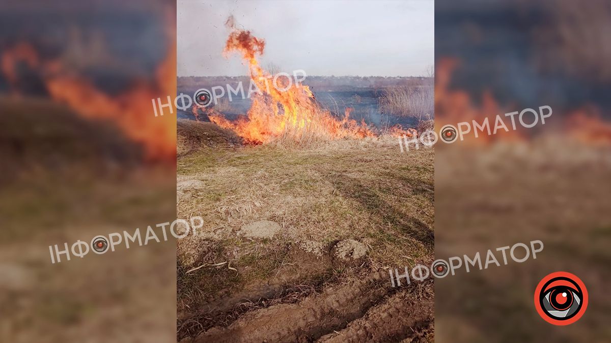 На Коломийщині знову загорілася суха трава