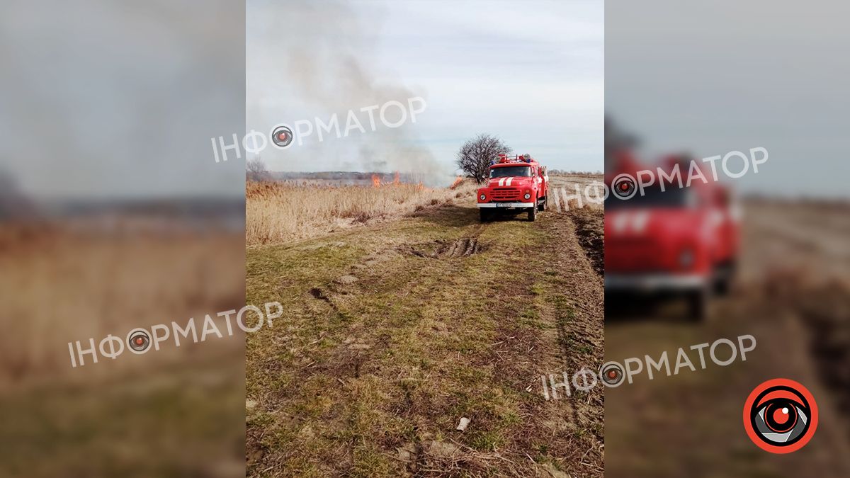 На Коломийщині знову загорілася суха трава 5