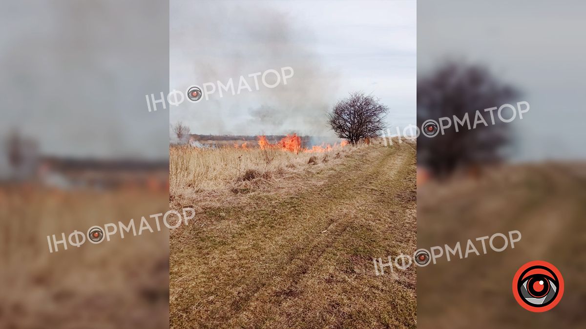 На Коломийщині знову загорілася суха трава 6