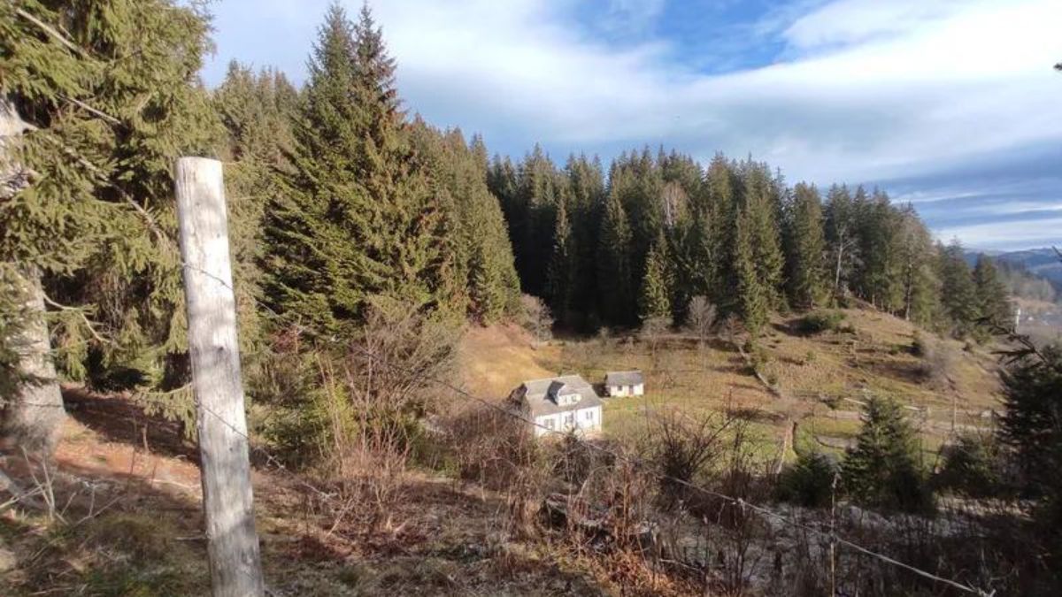 У Верховині продали землю за борги