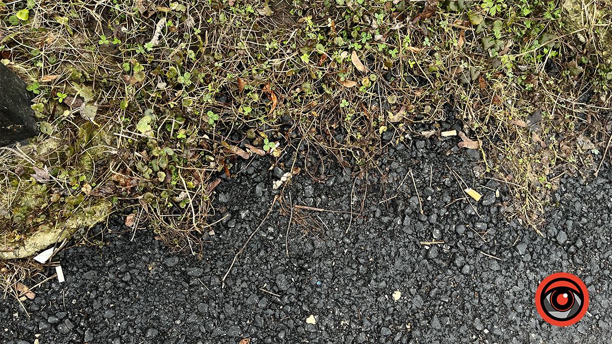 Тріщини та крихкий асфальт | Як зараз виглядають вулиці, які заасфальтували наприкінці минулого року 16