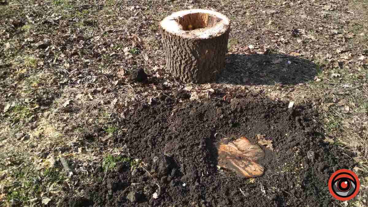 Конспірація зрізки, лютий 2024 року