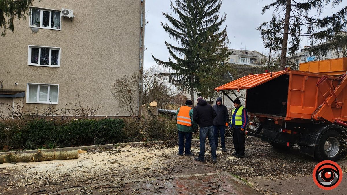 Мінус два горіхи: у Городенці комунальники взялися зрізати дерева