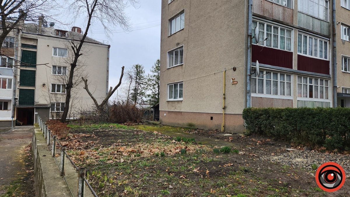 Мінус два горіхи: у Городенці комунальники взялися зрізати дерева 3