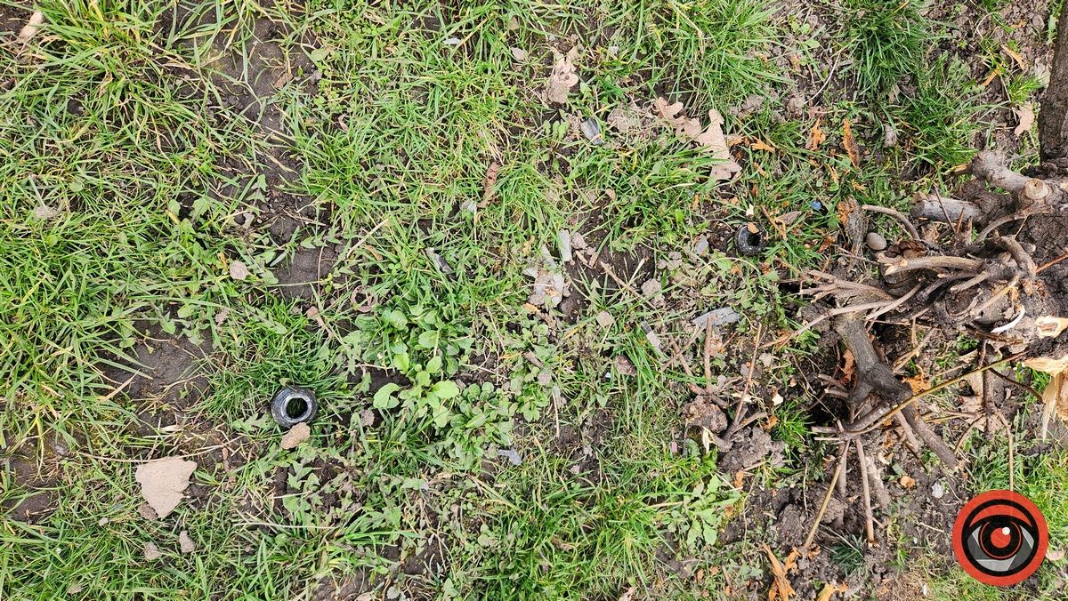 У Коломиї невідомий на авто врізався в дерево і втік 4