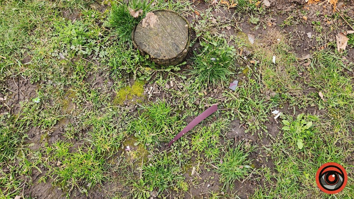 У Коломиї невідомий на авто врізався в дерево і втік 5