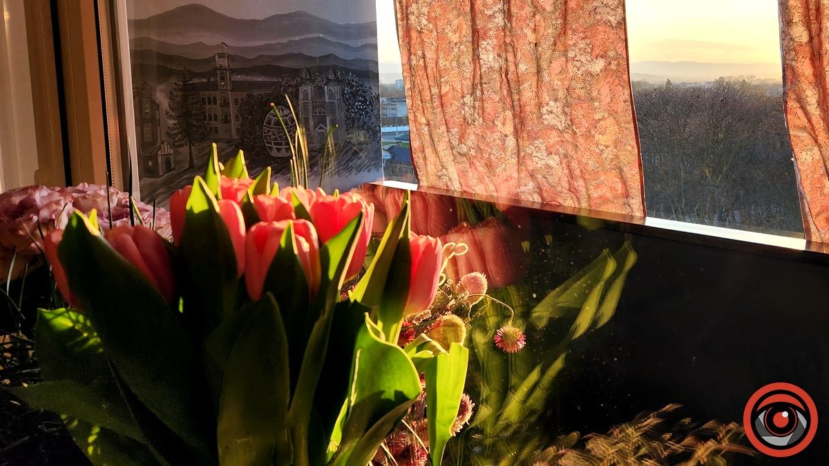 Мурал на балконі: коломиянка підкреслила приголомшливий краєвид малюнком на стіні 3