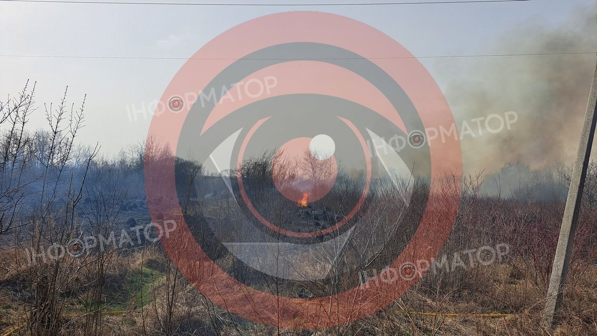 На околиці Коломиї палає понад гектар сухотрав'я 5