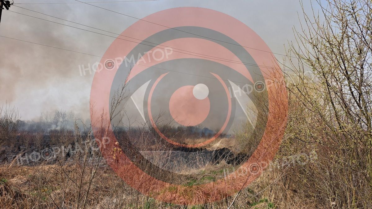 На околиці Коломиї палає понад гектар сухотрав'я 8