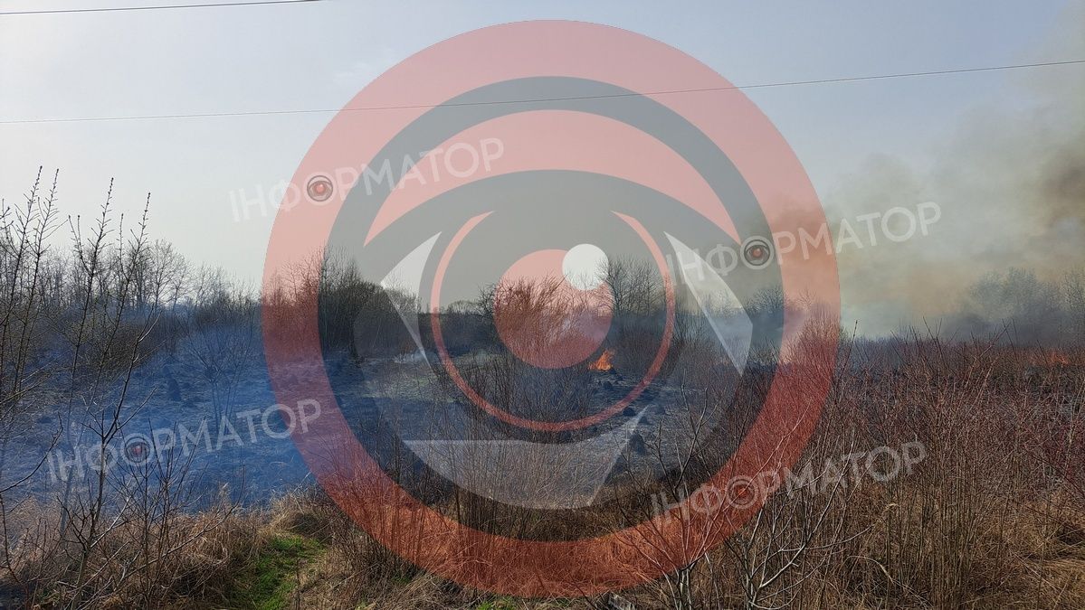 На околиці Коломиї палає понад гектар сухотрав'я 2