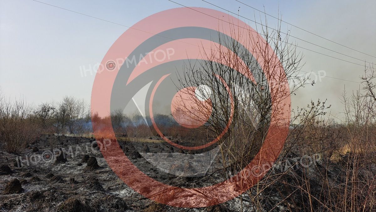 На околиці Коломиї палає понад гектар сухотрав'я 12