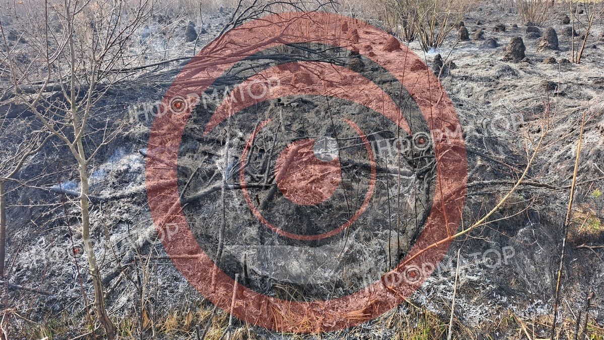 На околиці Коломиї палає понад гектар сухотрав'я 1