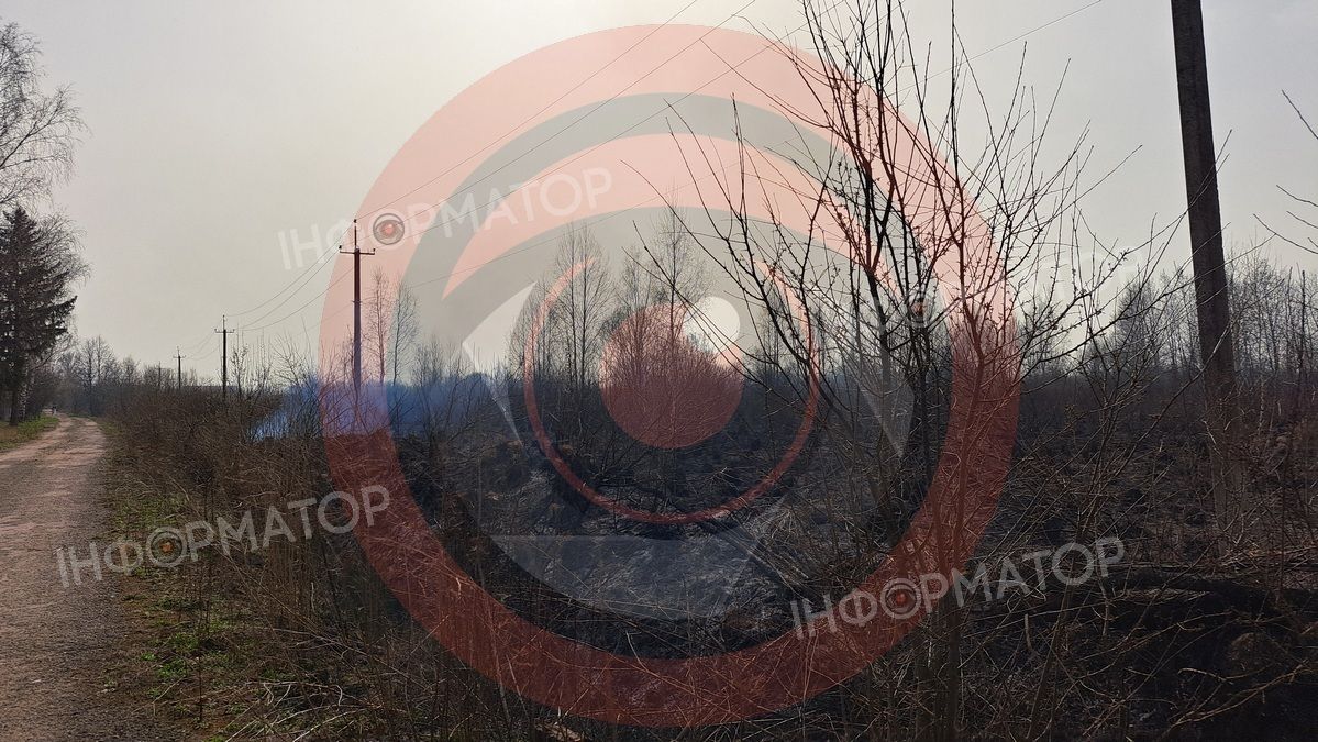 На околиці Коломиї палає понад гектар сухотрав'я 10