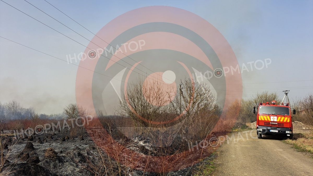 На околиці Коломиї палає понад гектар сухотрав'я 9