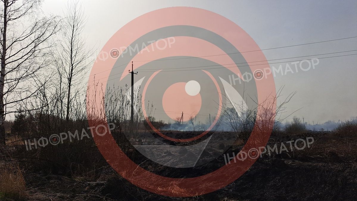 На околиці Коломиї палає понад гектар сухотрав'я 6