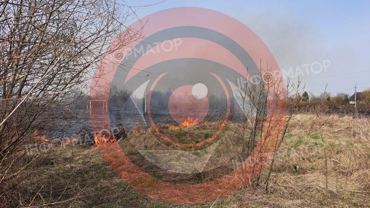 На околиці Коломиї палає понад гектар сухотрав'я 4