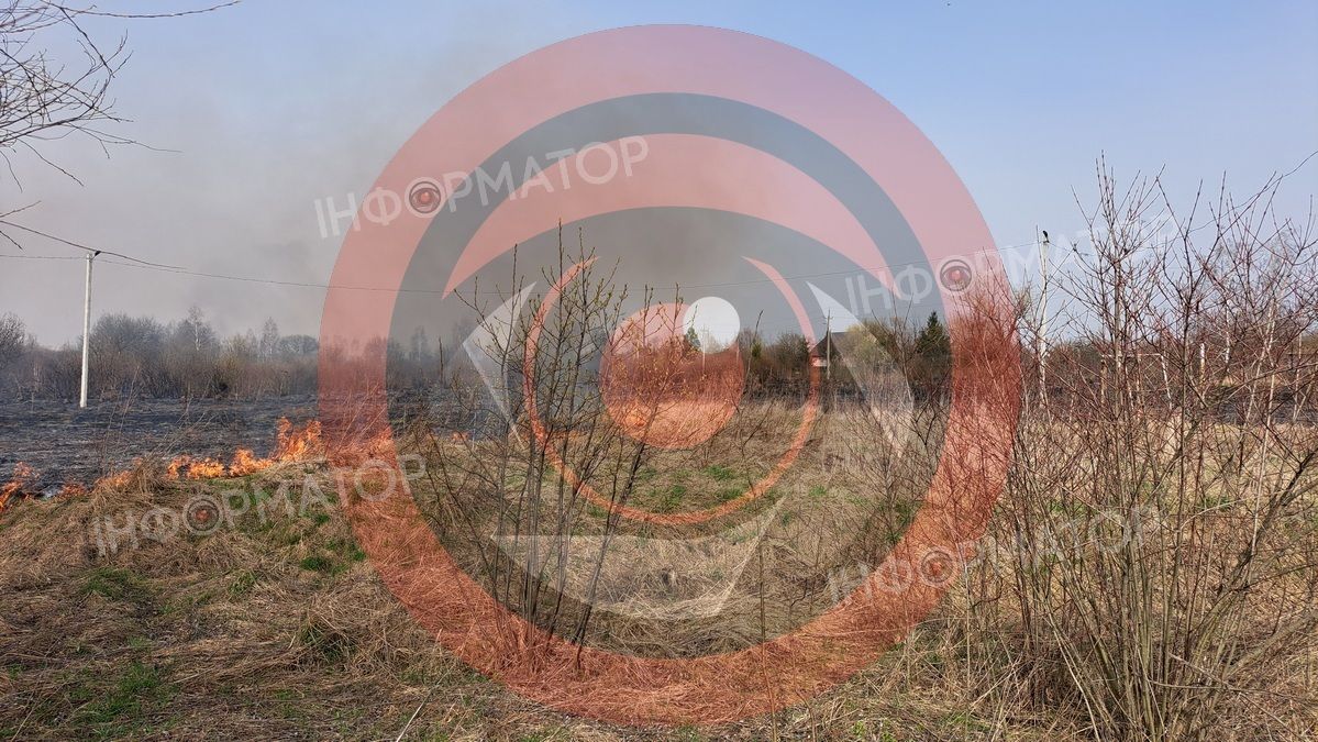 На околиці Коломиї палає понад гектар сухотрав'я 11