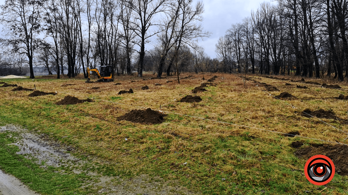 Коломийські активісти готуються висаджувати нові садженці на Алеї Добровольців