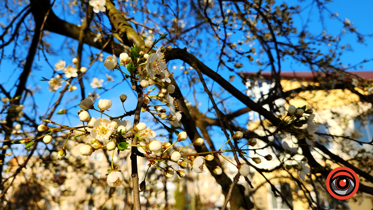 Яскрава та мальовнича | Якою була Коломия в березні 2024 8