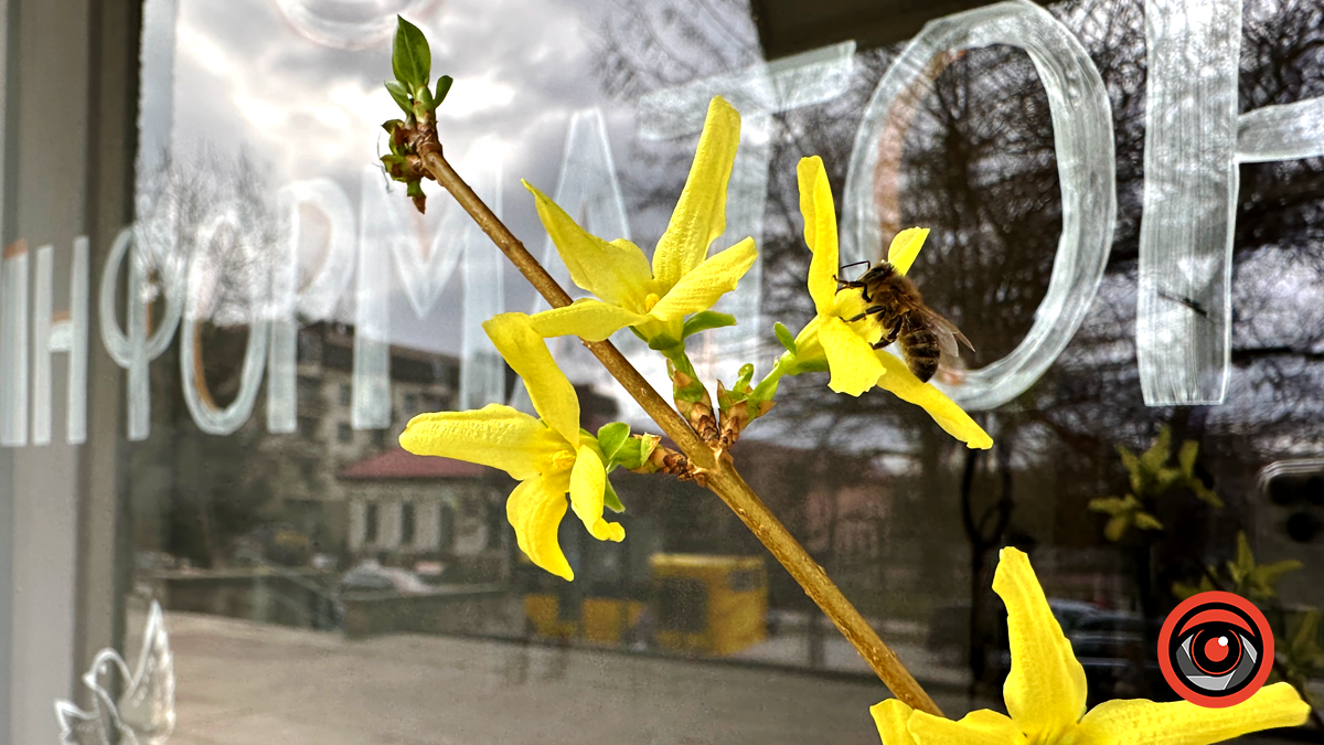 Яскрава та мальовнича | Якою була Коломия в березні 2024 5