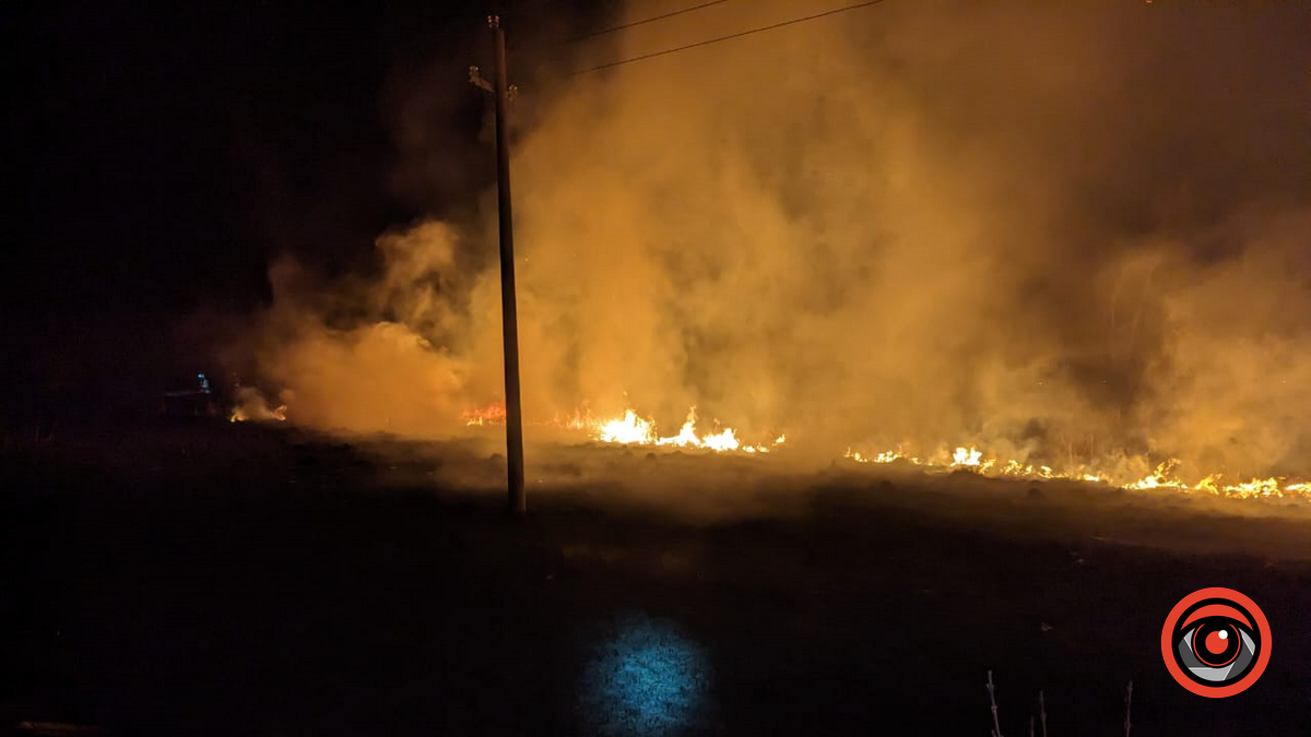 На Снятинщині не вщухають пожежі сухої трави 1