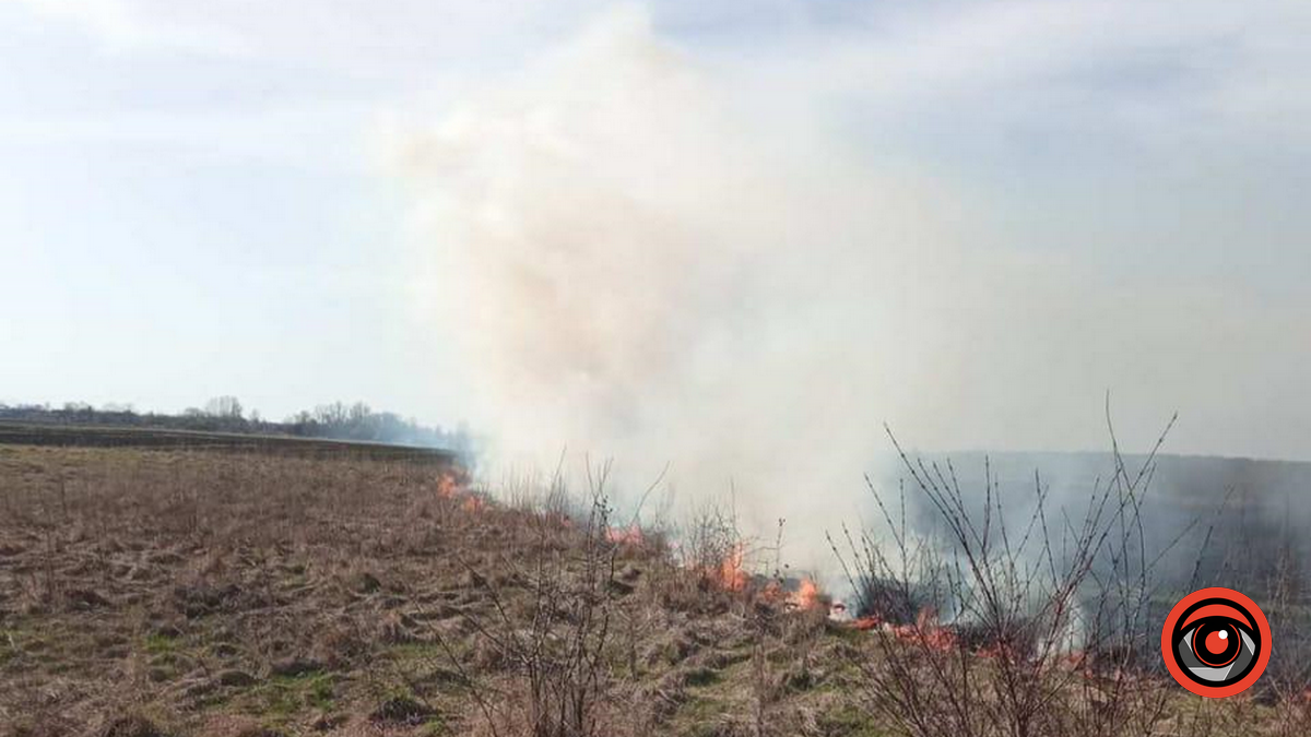 На Снятинщині не вщухають пожежі сухої трави 3
