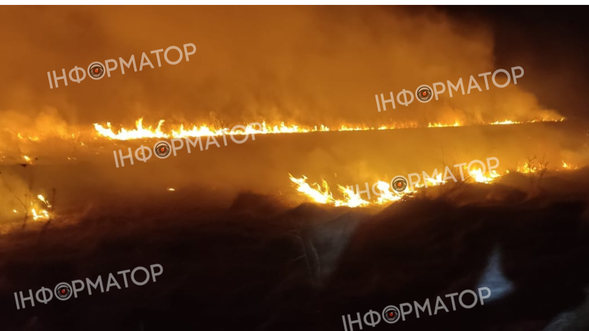 Пожежі не вщухають: на Коломийщині палає суха трава