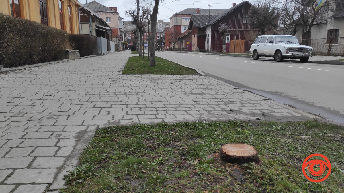 Зрізані дерева на Шкрумеляка