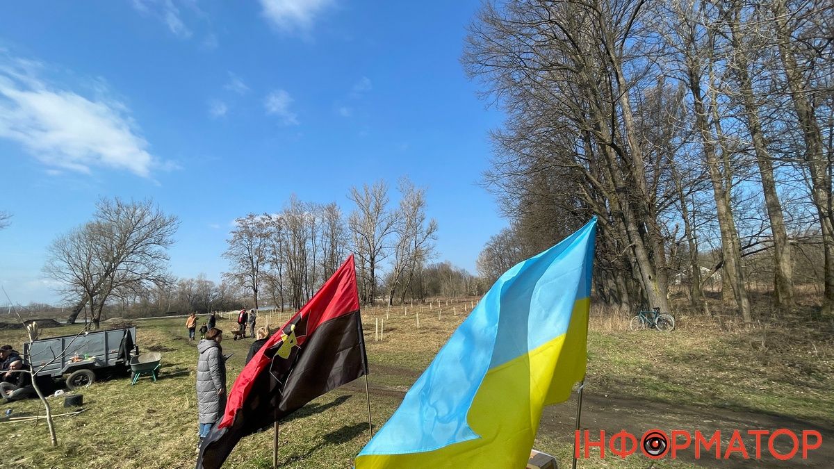 У Коломиї висадили 65 канадських дубів на Алеї Добровольців 1