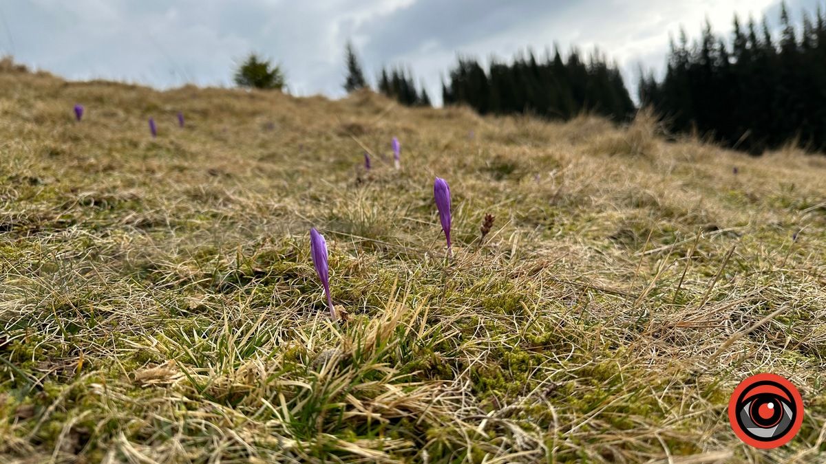 Карпати сьогодні. Фоторепортаж 6