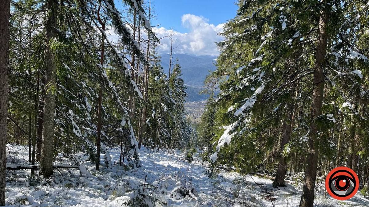 Карпати сьогодні. Фоторепортаж 1