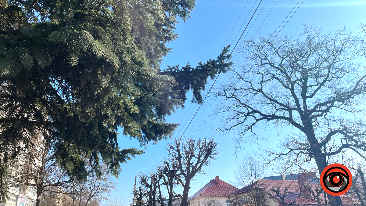 Куди піти в Коломиї 10 березня