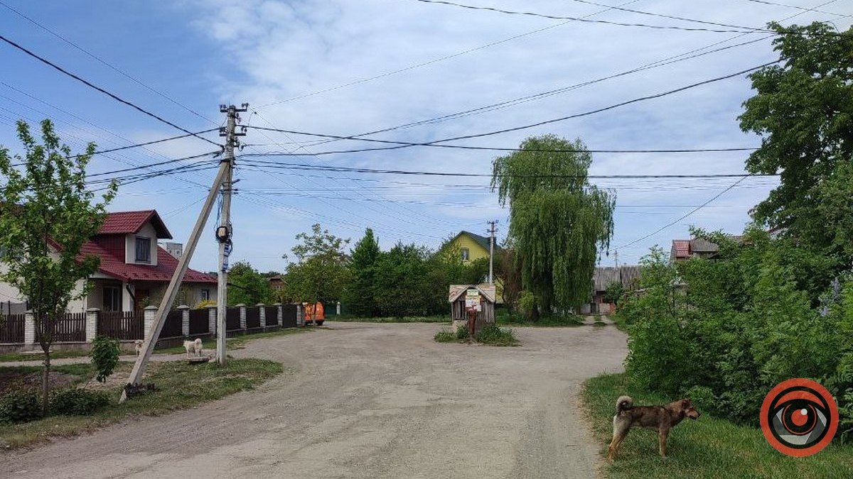 У Коломиї оголосили тендер на капремонт вул. Едельвейсів на понад 17 млн грн