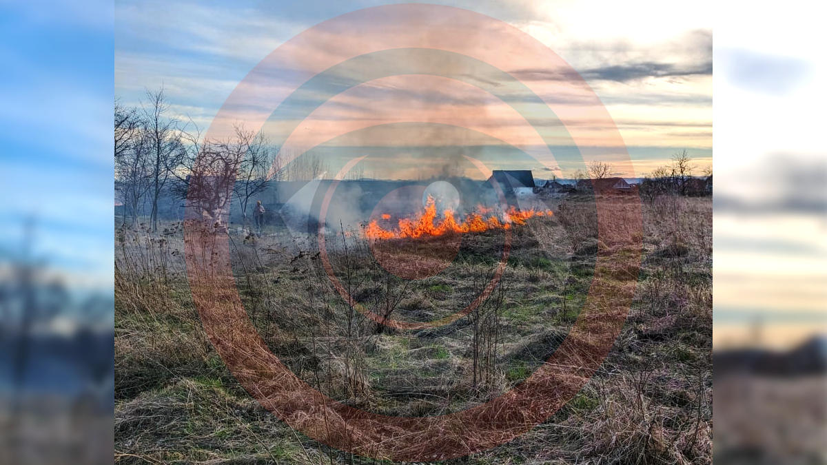 На вулиці Мазепи у Коломиї палала суха трава 1