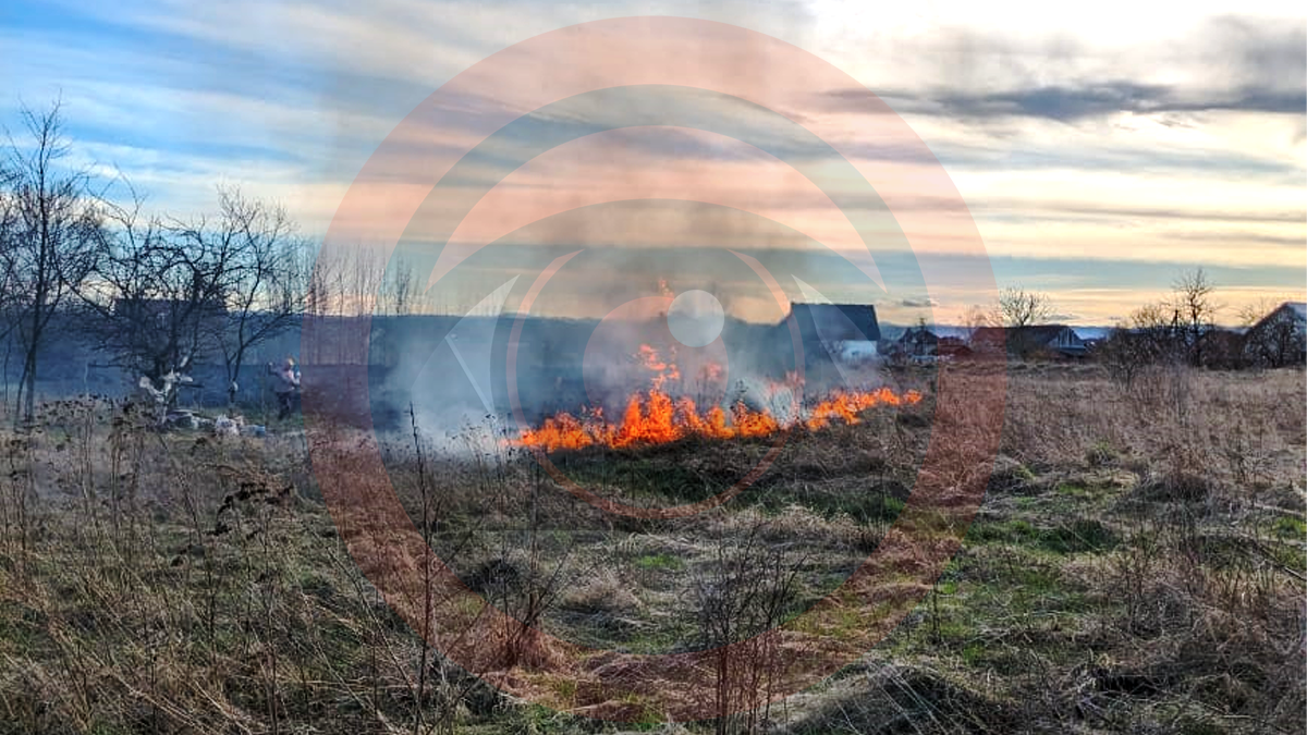 На вулиці Мазепи у Коломиї палала суха трава