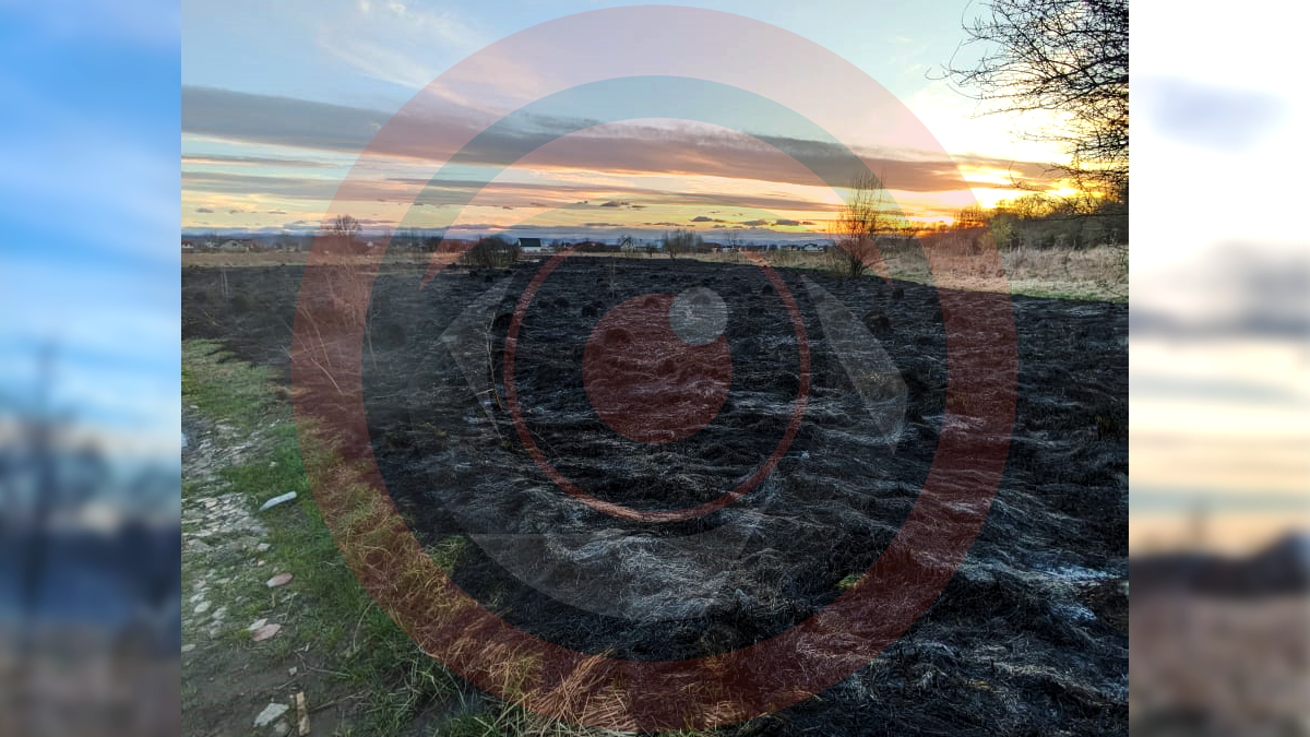 На вулиці Мазепи у Коломиї палала суха трава 2