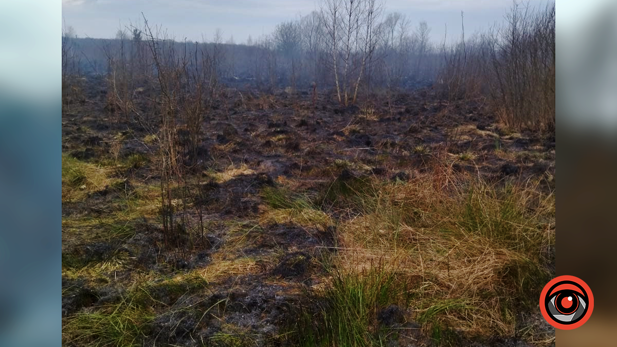 На Коломийщині палала суха трава у полі 1