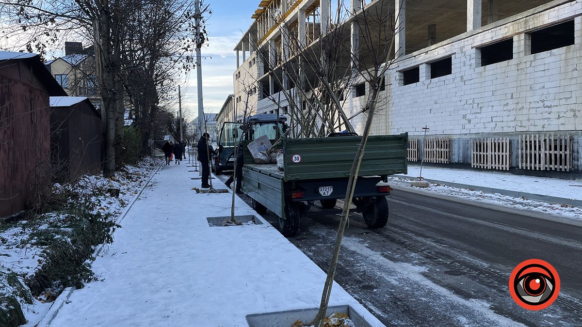 Хто відповідає за чистоту і красу Коломиї 4