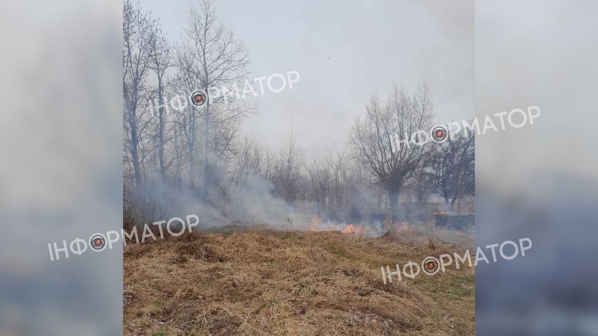 На Заболотівщини палає суха трава 2