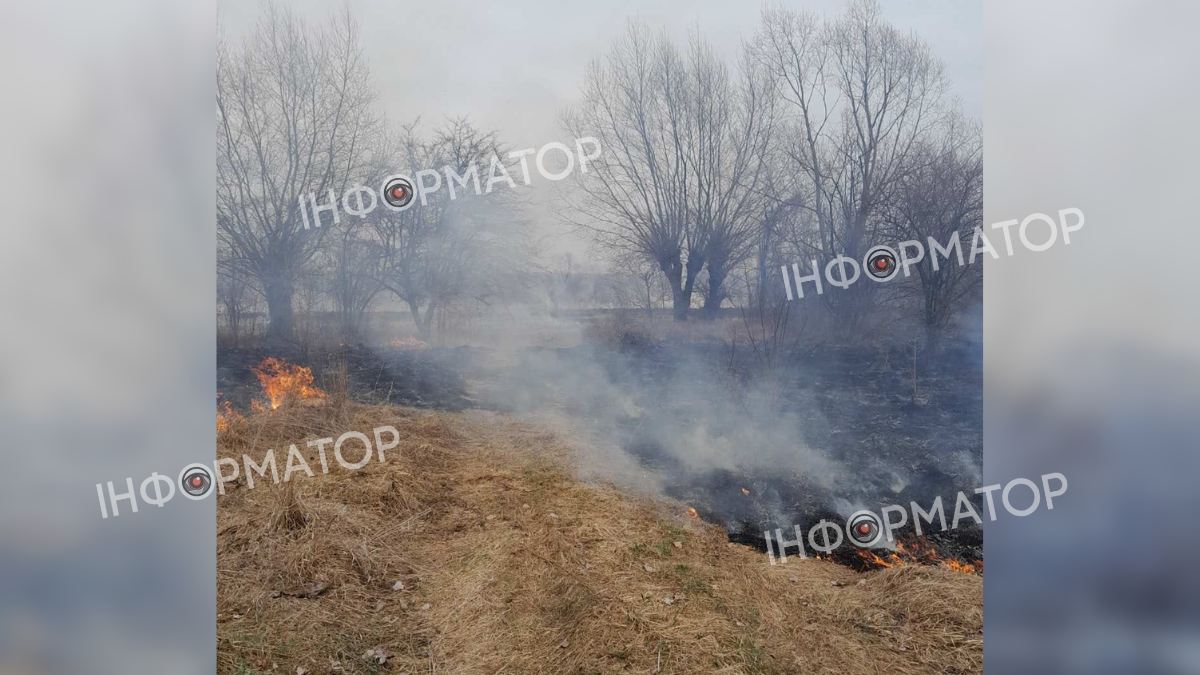 На Заболотівщини палає суха трава 1