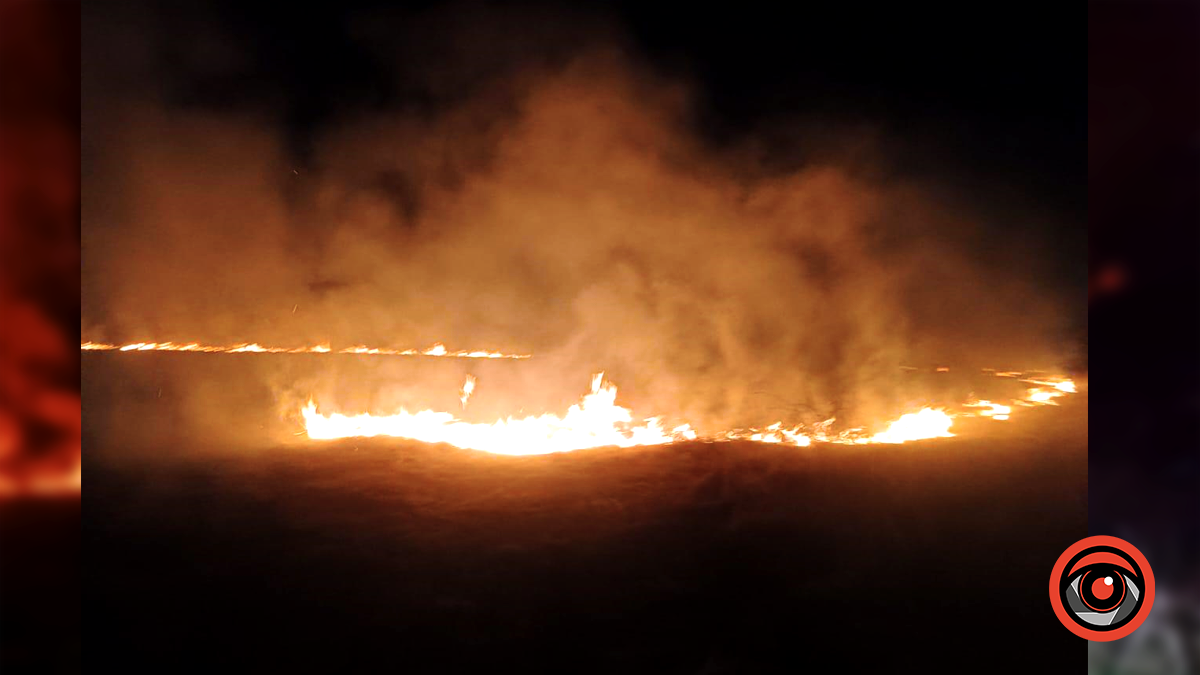 Дощу на них нема | За добу на Снятинщині рятувальники кілька разів виїжджали на виклики 1