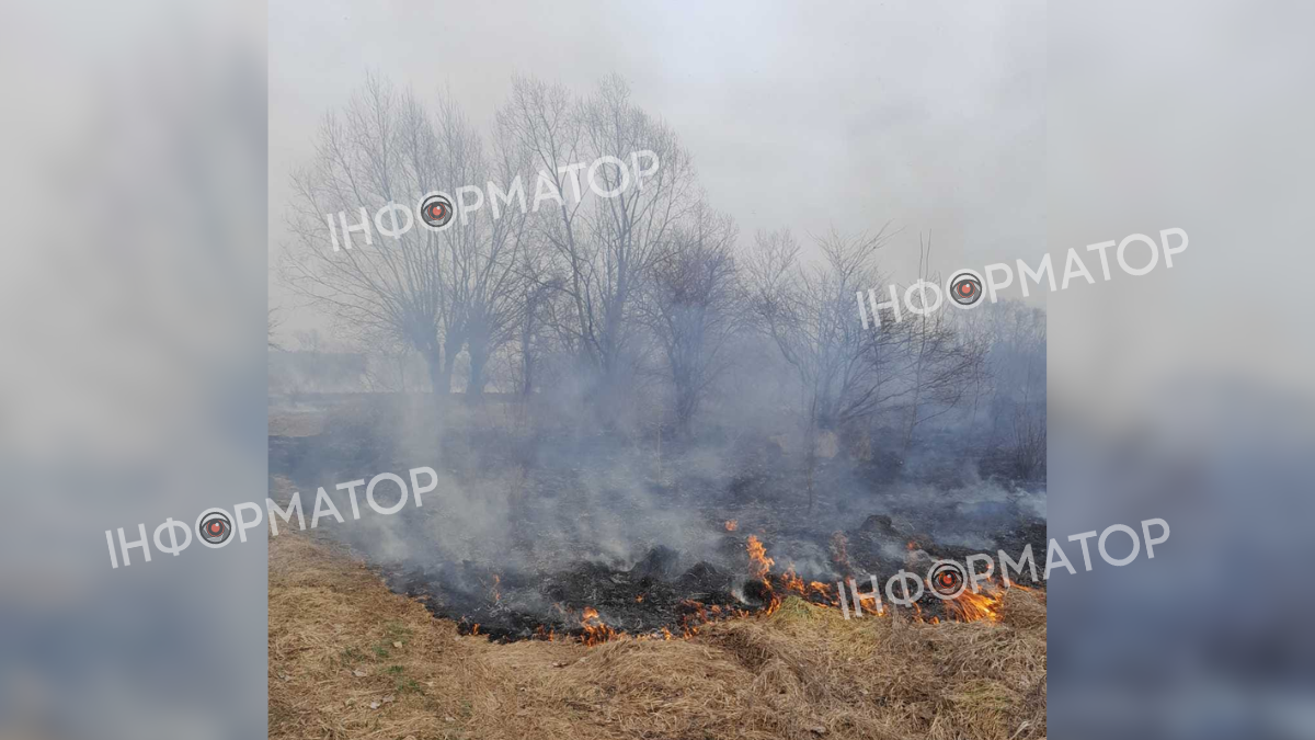 На Заболотівщини палає суха трава