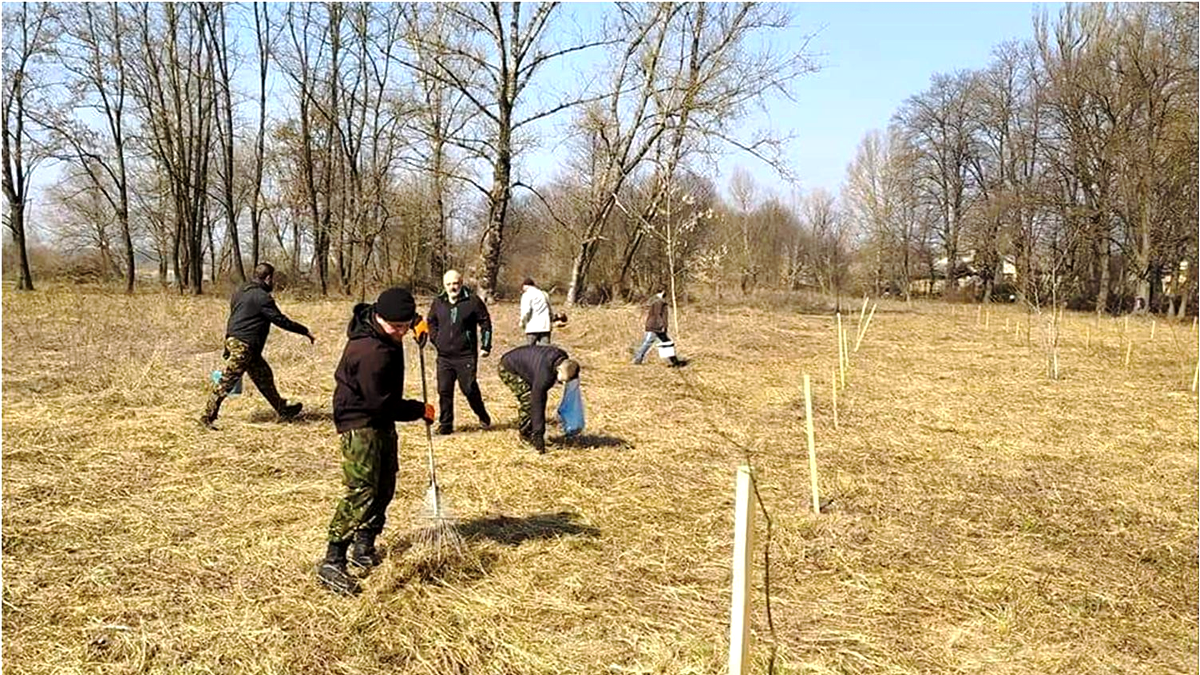Коломиян просять приєднатися до толоки на Алеї Добровольців в Шевченківському парку 1